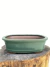 Vaso Bonsai Literato 29x20x8,5 cm