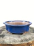 Vaso bonsai Literato, medindo 20x18,5x6 cm.