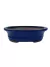Vaso bonsai Literato na cor azul, medindo 20,5x15,5x6cm
ideal para cultivo de bonsai.
