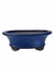 Vaso de cerâmica azul para bonsai, com dimensões de 19x14,5x6,6 cm.