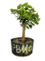 Pré bonsai de acerola em vaso preto, com folhas verdes saudáveis. PB110