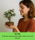 Banner de Bonsai Ise - Loja de Bonsai | Comprar Bonsai | Preço Bonsai