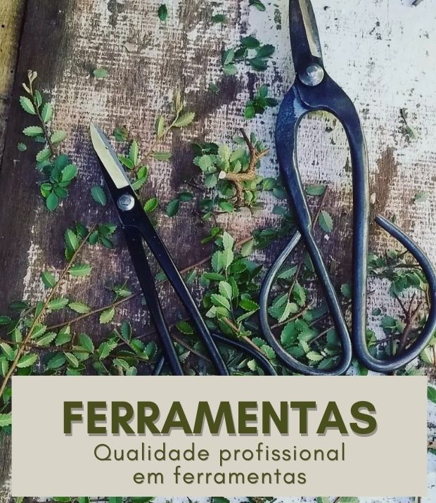 Banner de Bonsai Ise - Loja de Bonsai | Comprar Bonsai | Preço Bonsai