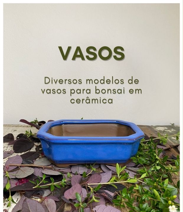 Banner de Bonsai Ise - Loja de Bonsai | Comprar Bonsai | Preço Bonsai