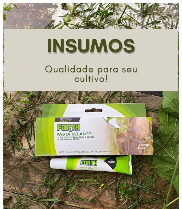 Banner de Bonsai Ise - Loja de Bonsai | Comprar Bonsai | Preço Bonsai