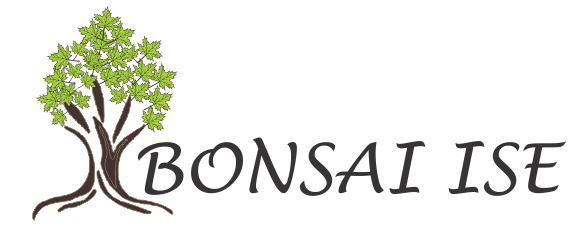 Bonsai Ise - Loja de Bonsai | Comprar Bonsai | Preço Bonsai