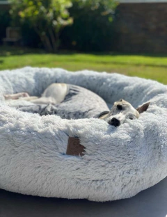Cama Nuvem Pelúcia Luxo Branco com Azul na internet