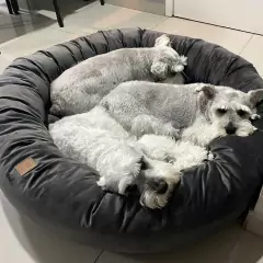 CAPA Cama Nuvem G 70x70 na internet