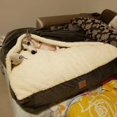 Cama Cave Cinza com Carneirinho Marfim Quadrada na internet