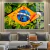 Imagem do Quadro Bandeira Do Brasil Amazonia