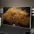 Quadro Sala Arvore De Ouro - comprar online