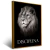 Quadro Leão Disciplina - Quadros Decorativos Podium - A Maior Marca De Quadros Decorativos do Brasil 