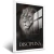 Quadro Leão Disciplina - loja online