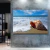 Quadro Concha Do Mar