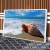 Quadro Concha Do Mar - comprar online