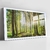 Quadro Floresta Encantada