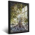 Quadro Arvore Raios De Sol Linda