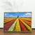 Imagem do Quadro Sala Campos de Tulipas