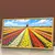 Quadro Sala Campos de Tulipas Holanda
