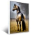 Quadro Cavalo No Campo - comprar online
