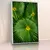 Quadro Suíte Folhagem Tropical Verde - comprar online