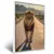 Quadro Sala Leão Estrada Deserto - comprar online
