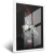 Quadro Decorativo Sucesso Gato Com Dolar na internet
