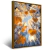 Quadro Vista De Floresta - Quadros Decorativos Podium - A Maior Marca De Quadros Decorativos do Brasil 
