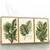 Quadro Trio Suíte Folhagens Tropicais - Quadros Decorativos Podium - A Maior Marca De Quadros Decorativos do Brasil 