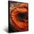 Quadro Sala Tronco Rústico Laranja - Quadros Decorativos Podium - A Maior Marca De Quadros Decorativos do Brasil 