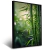 Imagem do Quadro Decorativo Bambu
