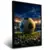Quadro Sala Bola de Futebol Stadium - Quadros Decorativos Podium - A Maior Marca De Quadros Decorativos do Brasil 