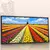 Quadro Sala Campos de Tulipas Holanda - Quadros Decorativos Podium - A Maior Marca De Quadros Decorativos do Brasil 
