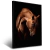 Imagem do Quadro Cavalo Campeão