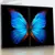 Quadro Duo Sala Borboleta Azul Neon - Quadros Decorativos Podium - A Maior Marca De Quadros Decorativos do Brasil 
