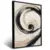 Quadro Sala Abstrato Espiral Bege na internet