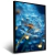 Quadro Dente Leão Gotas Orvalho - Quadros Decorativos Podium - A Maior Marca De Quadros Decorativos do Brasil 