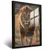 Quadro Sala Leão Safari Dourado - Quadros Decorativos Podium - A Maior Marca De Quadros Decorativos do Brasil 