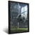 Quadro Escritório Gol Futebol Night