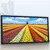 Quadro Sala Campos de Tulipas Holanda