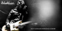 Banner da categoria Washburn