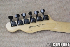 Guitarra Elétrica Telecaster Custom Jim Root White Replica Chinesa - loja online