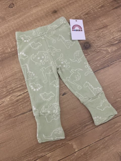Calça verde - dinossauros na internet