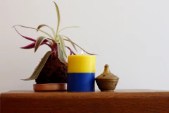 VELA REIA na internet