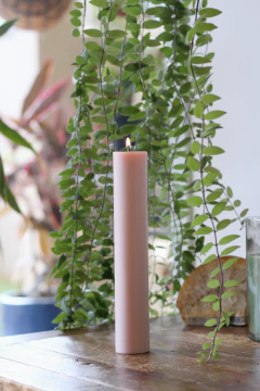 VELA LADY NADA na internet