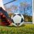 PELOTA NRO 5 PVC BICOLOR en internet