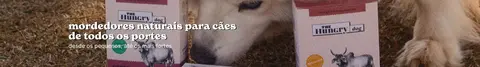 Banner da categoria Mordedores