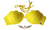 Biquíni Top Concha Sereia - AMARELO SUN - comprar online