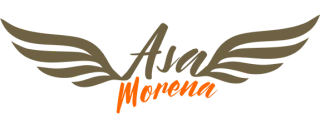 ASA Morena • Moda Praia • Top Concha Sereia • O Original • Mais Lindo do Brasil •