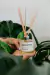 Difusor de Varetas Paradise Jasmim e Lima